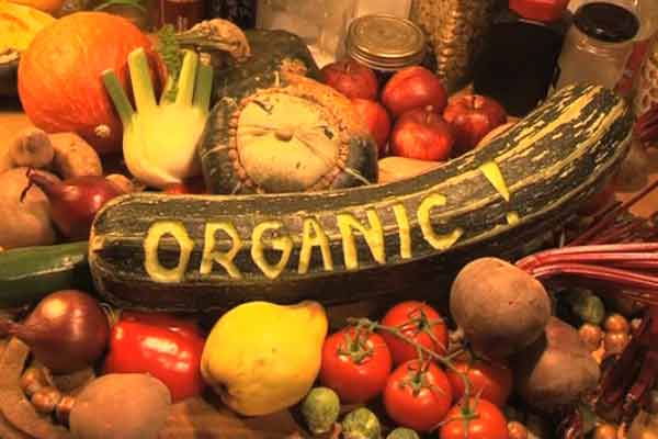 Image result for bahan makanan organik