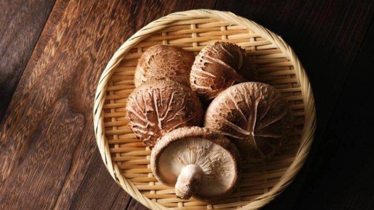 Manfaat Lain Jamur Shitake