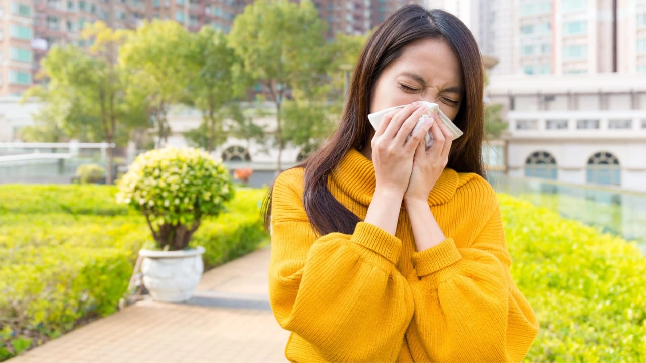 Rhinitis Alergi, Gejala dan Cara Mengatasinya